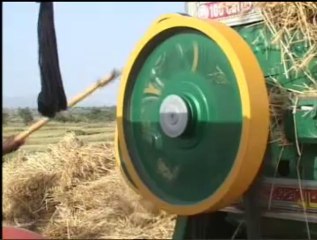 Arynews Attock wheat Report