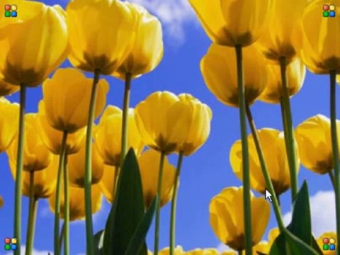 HTML Urdu Tutorials Part 9 by Irfan Wazir Ali