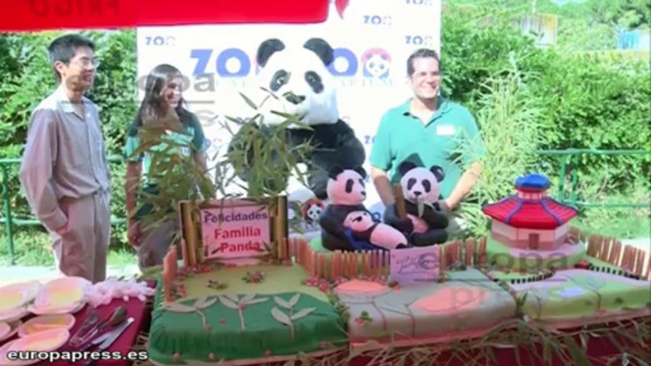 Zoo de Madrid celebra el cumpleaños de los osos panda