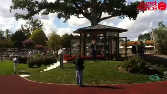 Hippisme : Trois Glorieuses - Hippisme