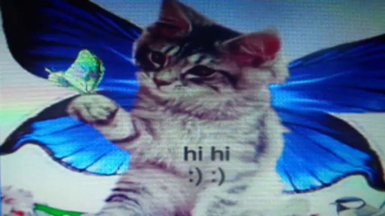 3 petites notes de musiques papillon-chat cover