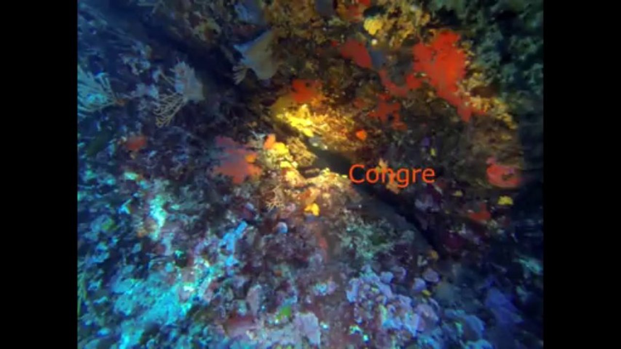 Plongée d'Exploration la Balise le 03 09 13