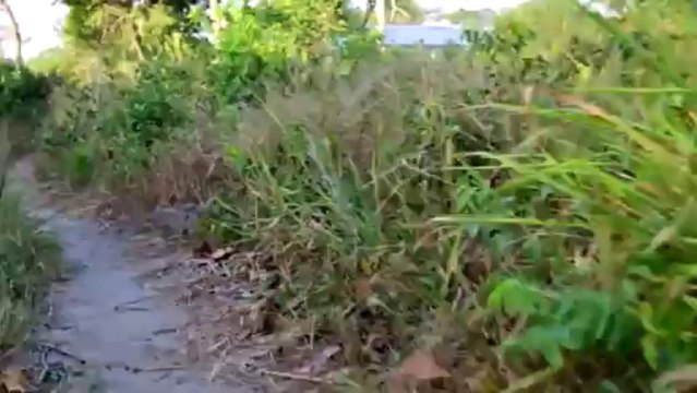 Compelled by Love Teaser Trailer