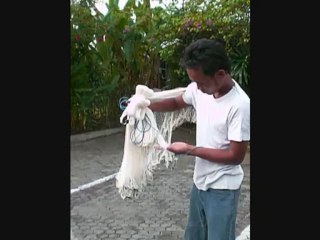 Comment lancer un filet épervier