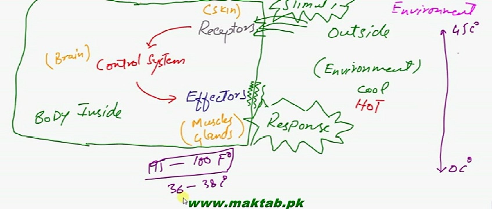 FSc Biology Book2, CH 15, LEC 1, Concept Of Homeostasis