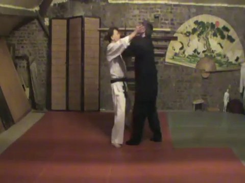 Shizentai ryote kubi shime dori : waki gatame (jutai)
