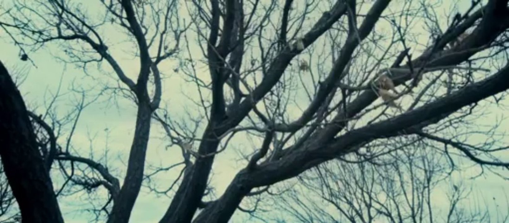 Moor - Trailer HD