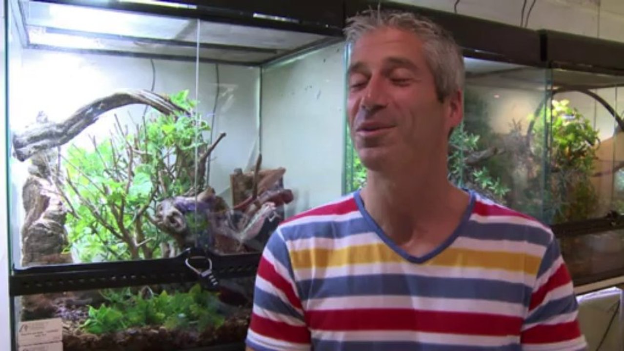 Les Français fans de serpents, lézards, caméléons et piranhas...