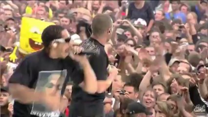 NTM aux Vieilles Charrues