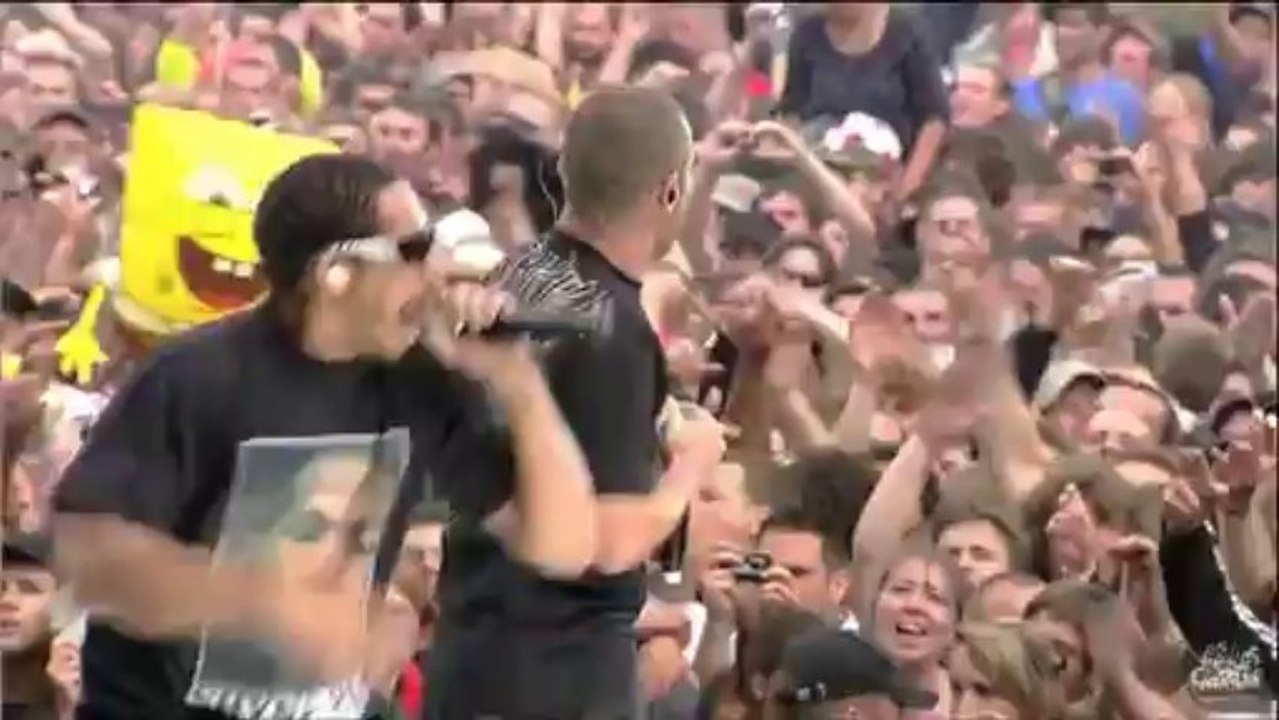 NTM aux Vieilles Charrues