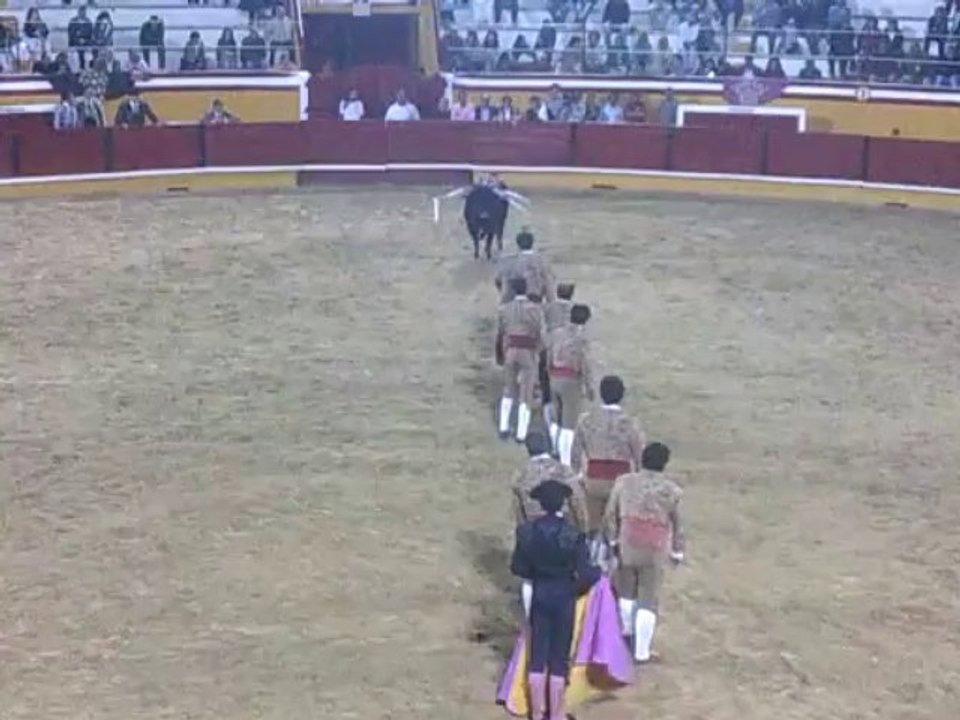 RICARDO COSTA "MUSTAFÁ" AMADORES DA CHAMUSCA PEGA TOIRO NO CARTAXO