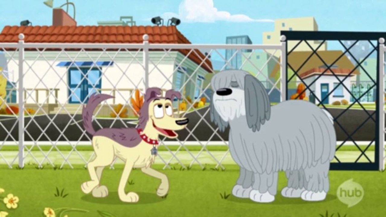 PP 3x16 - Lucky the Dunce