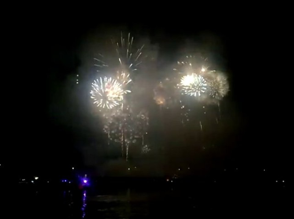 Feu d'artifice - Parc de Saint Cloud 2013