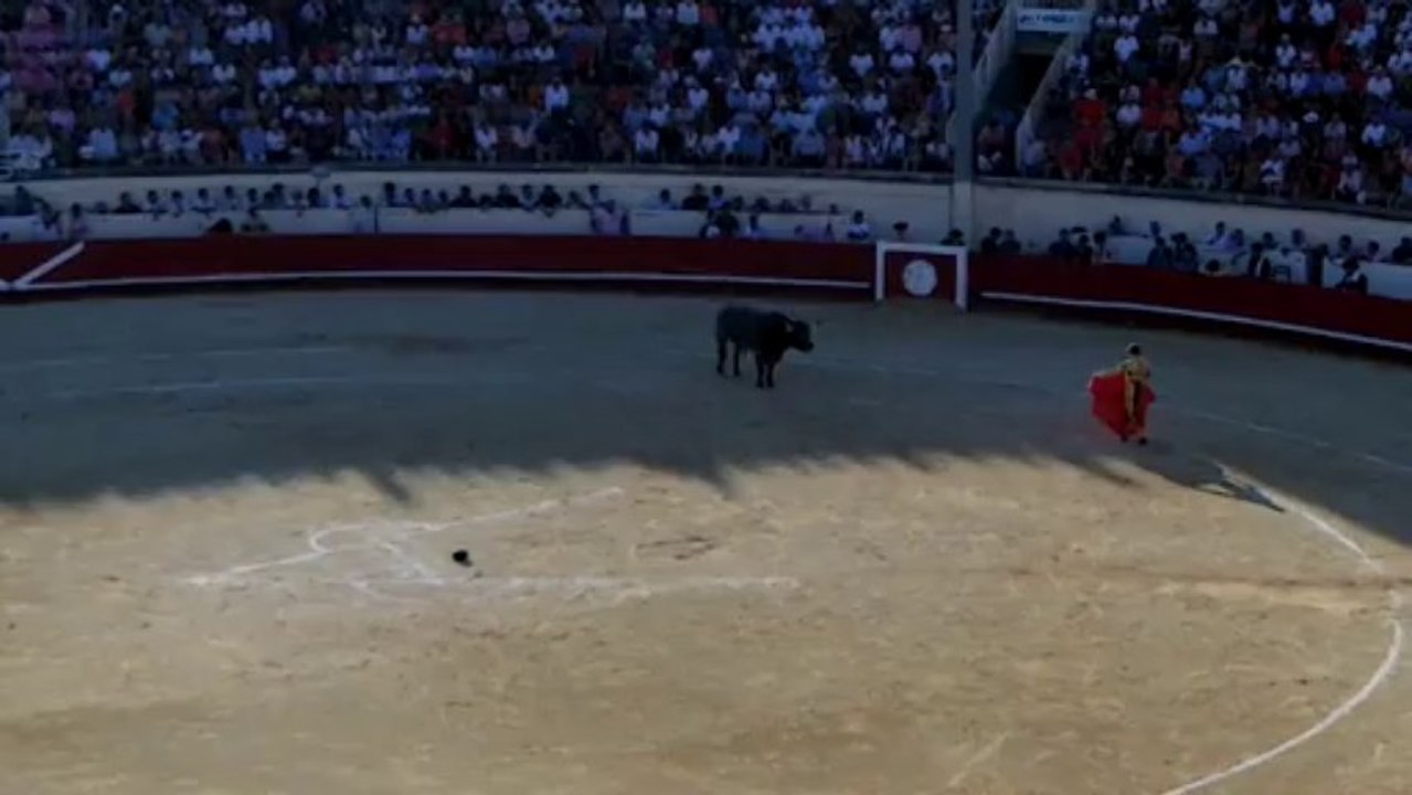 Robleno - Miura Béziers 2013