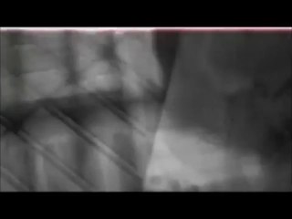 Maria Grazia Vai - Il pulsare delle onde