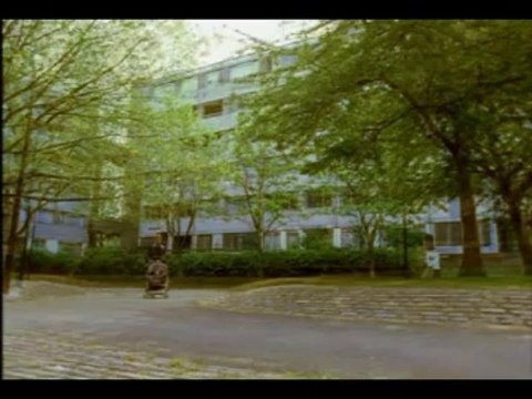 Documental El cuerpo humano: Primeros pasos