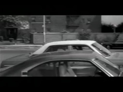 Broadway Danny Rose ( bande annonce VO )