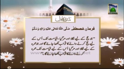 Useful Information About Hajj