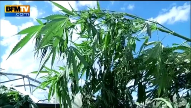 Zapping - 11/09: La 3ème guerre mondiale évitée selon Royal, commémoration du 11-Septembre, Bollène célèbre son premier mariage gay...