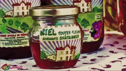 Marché de producteur à St Geours de Marennes