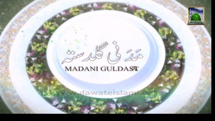 Useful Information 169 - Hajj ki Ghalatiyan or Kuffaray - Mufti Hashim Attari