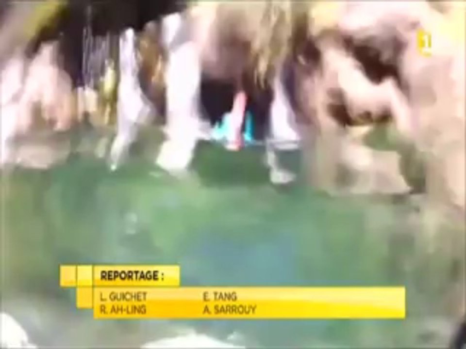 Découvrir le cœur de Tahiti par le canyoning