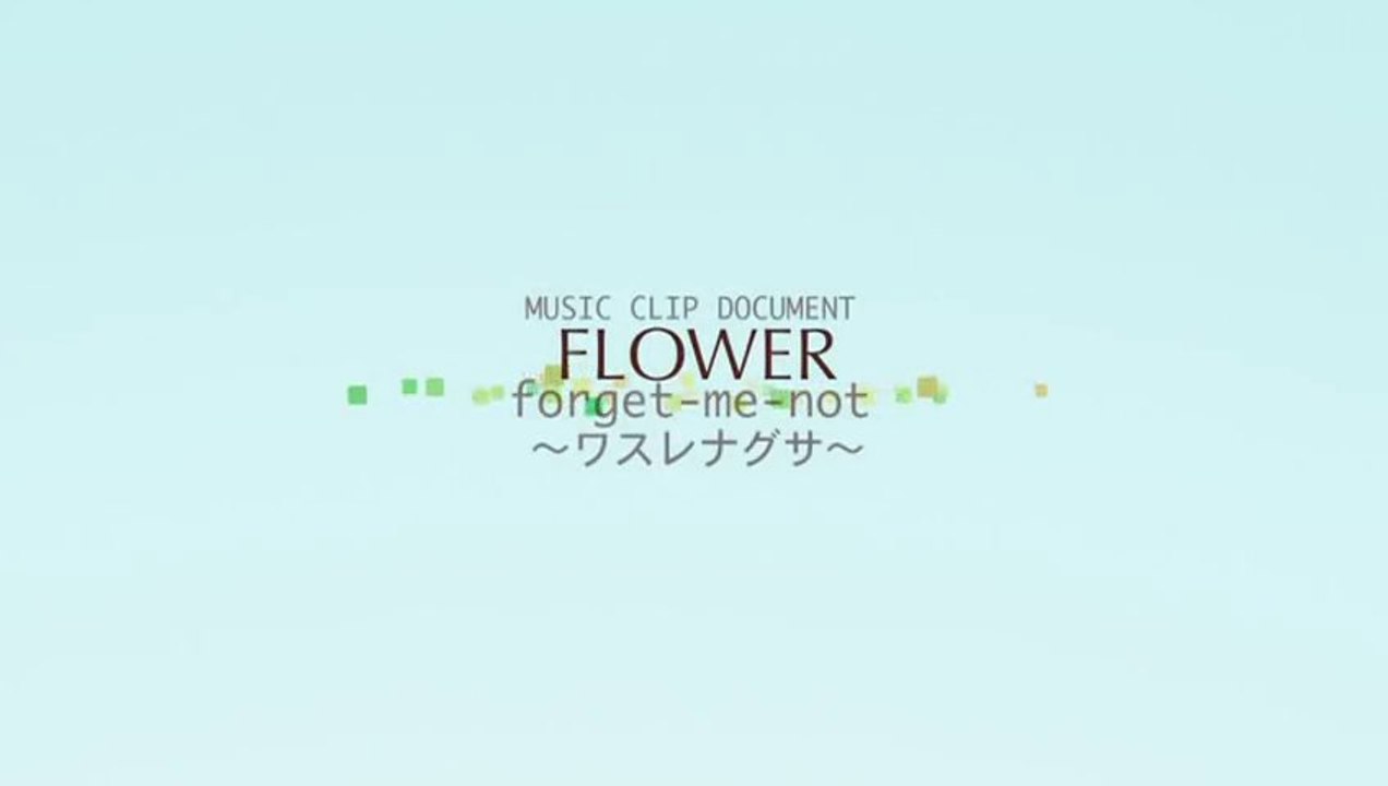 FLOWER - Forget Me not  Making