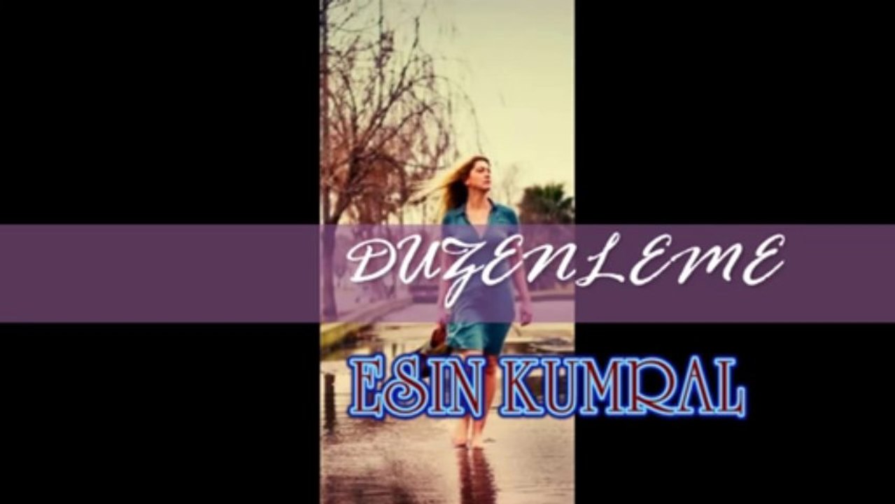 ▶ Mahmut Kemal Arslan Sen ve Başkaları