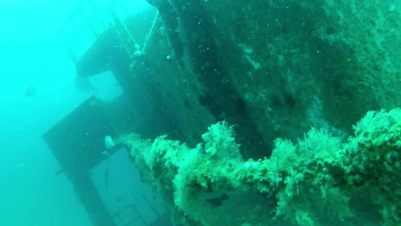 York Dive Shop - Scuba Central PA Wreck Diving with Sharks in North Carolina