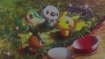 Pokémon Rumble U - Nintendo eShop (Wii U) - Trailer