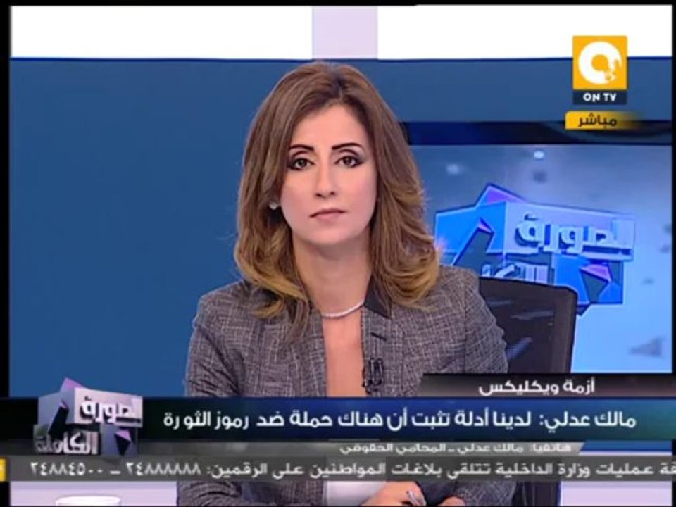 مالك عدلي:  لدينا أدلة تثبت أن هناك حملة ضد رموز الثورة