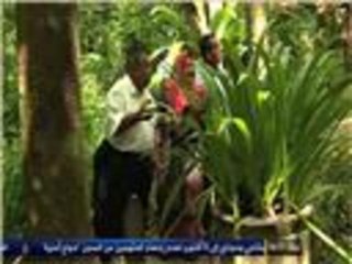 زيادة الإقبال على الأعشاب الطبية بماليزيا