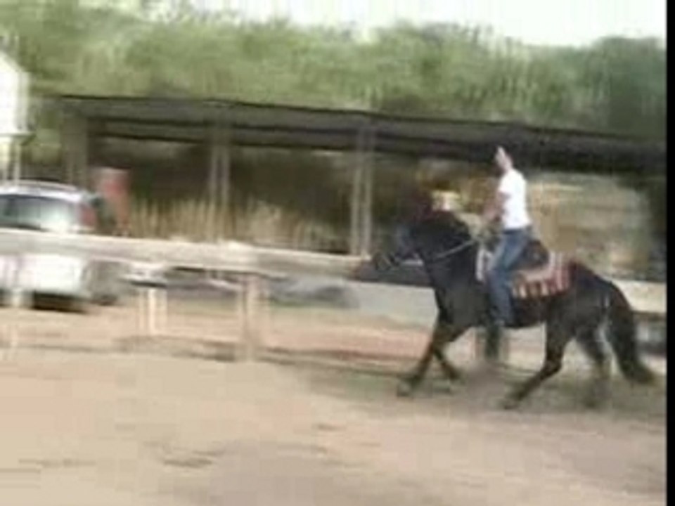 un merens qui galope