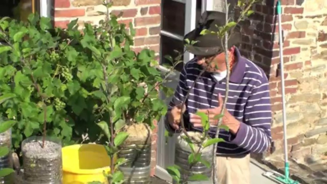 Table de multiplication des pommiers MM106 en septembre 2013