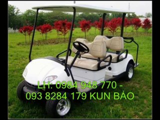 xe dien cho hanh ly  ... mobile: 0984 948 770 KUN BẢO