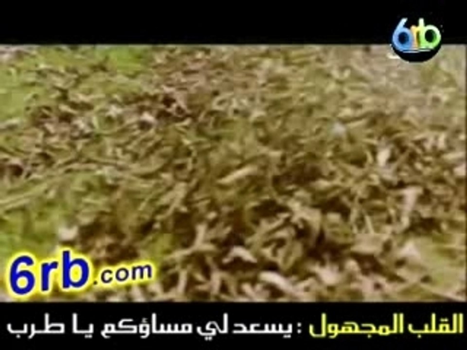 clip031-bashar