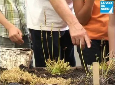 Visite des serres pédagogiques de Tourcoing