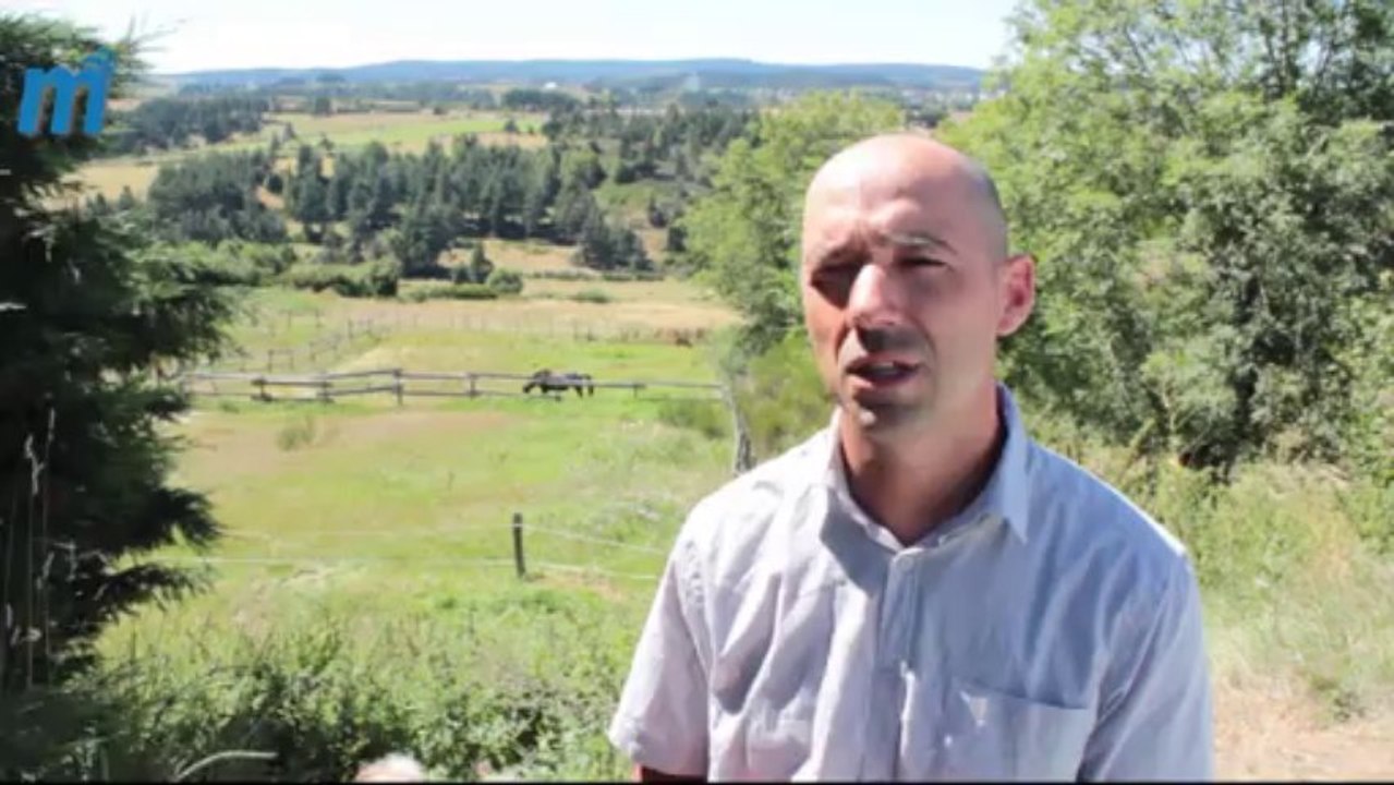 Trafic de viande de cheval, un problème de fond. L'interview d'Hugues Calvin, président du Conseil des équidés Languedoc-Roussillon