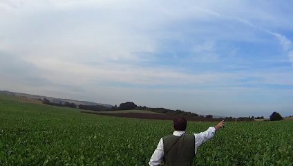 GYPSY  au Concours d' AUDINGHEM 2013 cond Mr Philippe RAULT