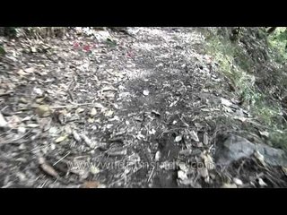 Trekking towards Dodital from Manjhi