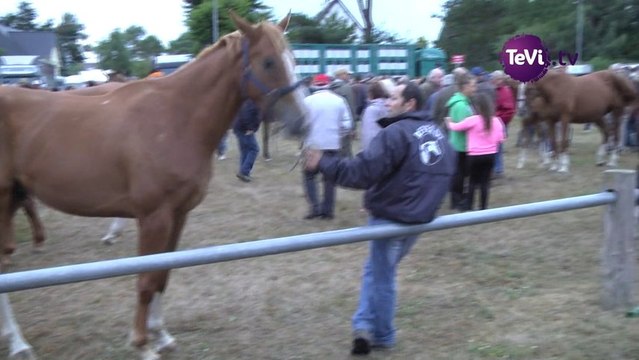 13_09_09 chevaux lessay