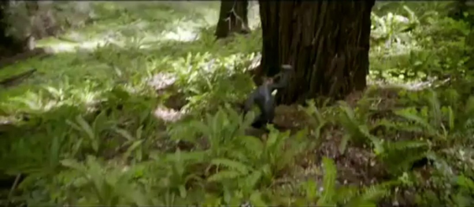 Yuel Boyce - After Earth Trailer (2013) - Yuel Luncheon Boyce