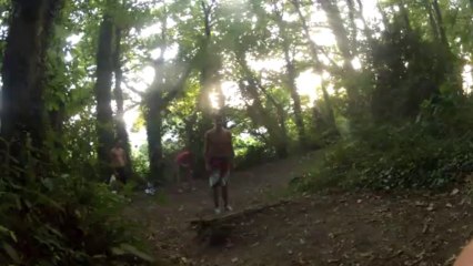 phoenix vannes step by step