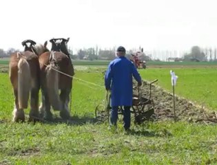 Labours à l'ancienne
