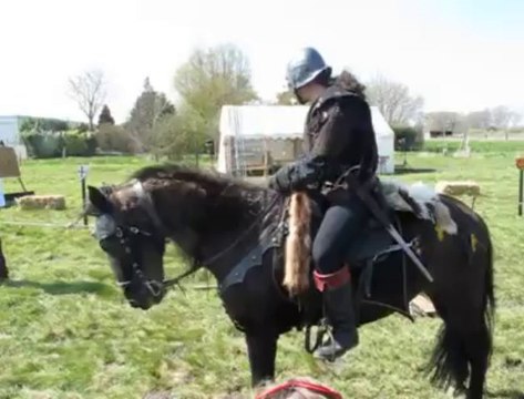 Marais-de-Guines chevalier