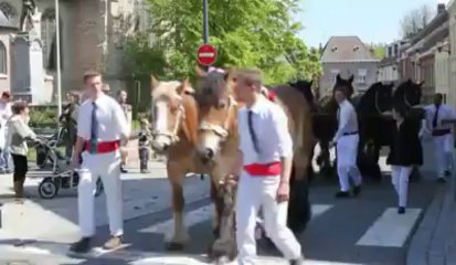 Steenvoorde : la Meï Feest et sa ferme pédagogique ont séduit les familles
