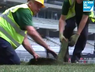 Le Grand Stade a sa pelouse ! (04/07/2012)