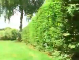 Vie de campeurs à la Ferme, à Liessies