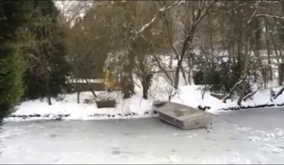 Roubaix : une femme tombe dans un étang gelé