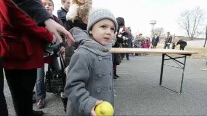 Apéritif pour éléphants du cirque Arlette Gruss